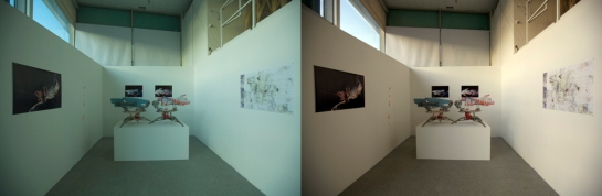 Exhibition in Stereo